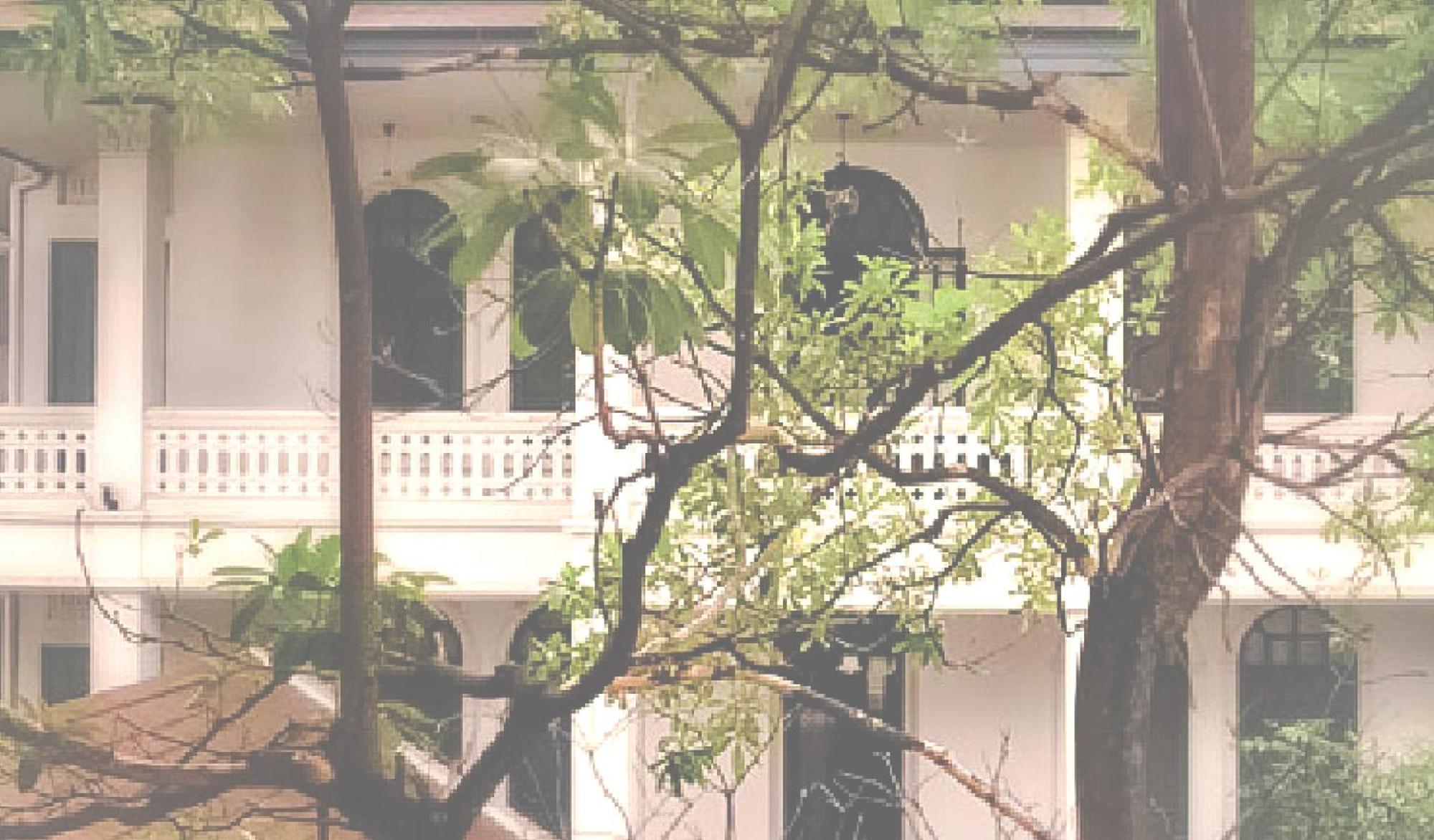 Yesterday Hotel Chiang Mai Extérieur photo